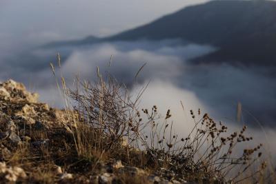 Прикрепленное изображение: 0-02-05-f60c1ceeef7c80ecc10c78d005a3f73cd4ff644770ec3eca981d4743a9de8101_ef7b3903.jpg